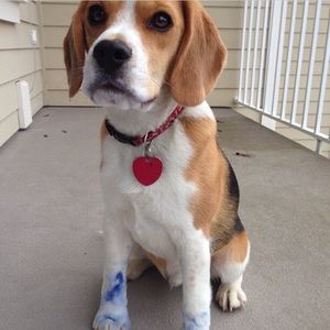 Meet your Posher, Tori